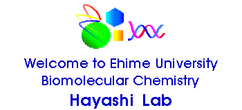 Welcome to Hayashi Lab!