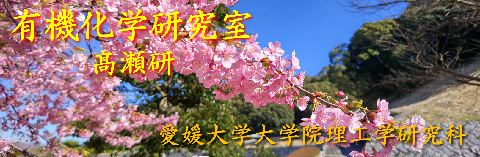愛媛大学有機化学研究室高瀬研